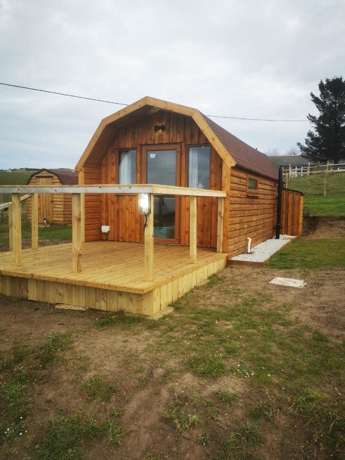 Gowanview Glamping Banff Exterior foto