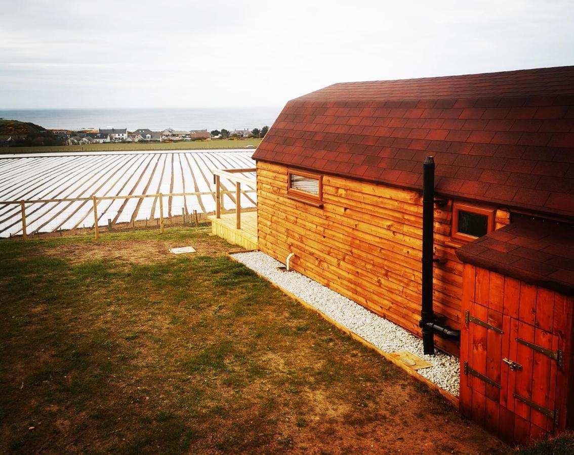 Gowanview Glamping Banff Exterior foto
